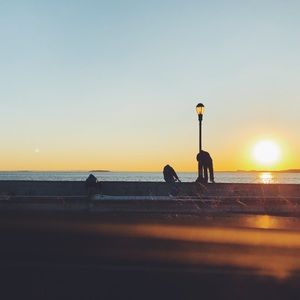 Meet your Posher, Blake